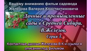 Дачные и промыщленные сады в Средней Сибири. В.Железов. Серия 3.