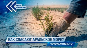 Пустыня станет оазисом. Перемены на дне Аральского моря