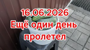 16.06.2026 Ещё один день пролетел