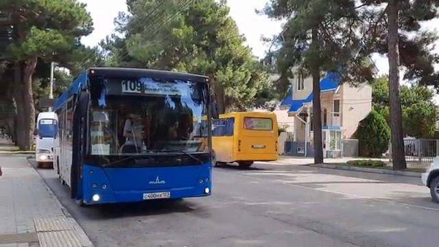 Автобус МАЗ-206.060 маршрут 109 смотреть онлайн