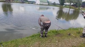 поимка осетра