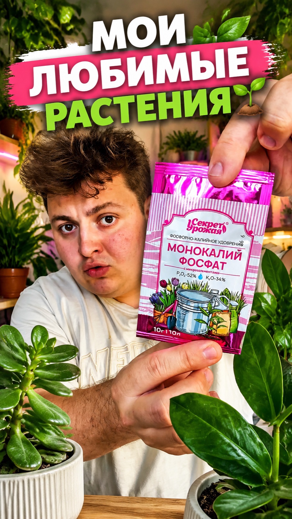 А у вас есть комнатные растения? 🪴