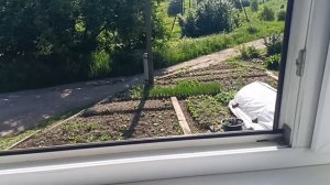 16-06-2026 Жизнь на Западном Урале обычной семьи!!! Возвращаемся в будни 😄 отдыхать не работать😀👍