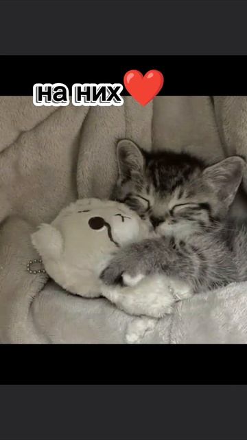 #тыкотик