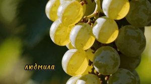 Она хотела просто помочь отцу хорошо сделать свою работу. А в итоге – ей пришлось пожертвовать свое