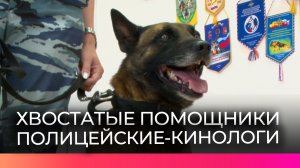 Новгородские кинологи провели показательное занятие для студентов профильного техникума