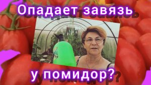 Срочно! Дайте томатам БОР! 👍🍅