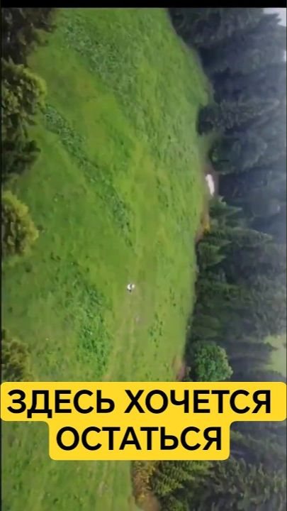 Поймали момент, который не хочется отпускать