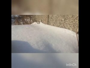 Тест солнечных панелей 18В и переделанных 9В.
