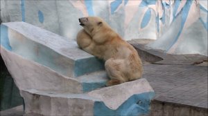 После завтрака надо мамочку поцеловать, попить водичку и  молочко попросить 15.06.2026