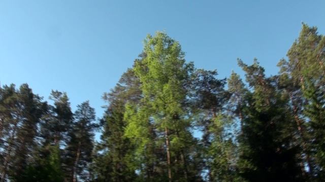 РЭКС 2026 июнь зарисовка1