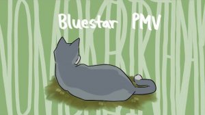 Bluestar(fur) PMV . No more birthdays (КОТЫ ВОИТЕЛИ АНИМАЦИЯ ПЕРЕЗАЛИВ)