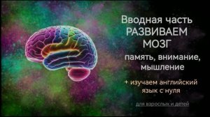 Развиваем мозг. Вводная часть