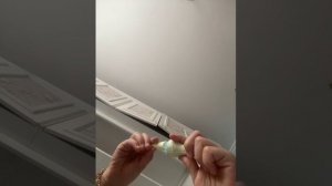 История
