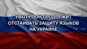 УВКПЧ ООН продолжит отстаивать защиту языков на Украине