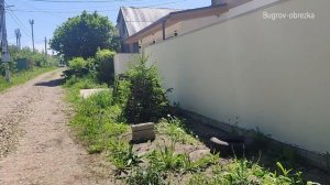 Разница роста елей. Агроном Бугров Максим