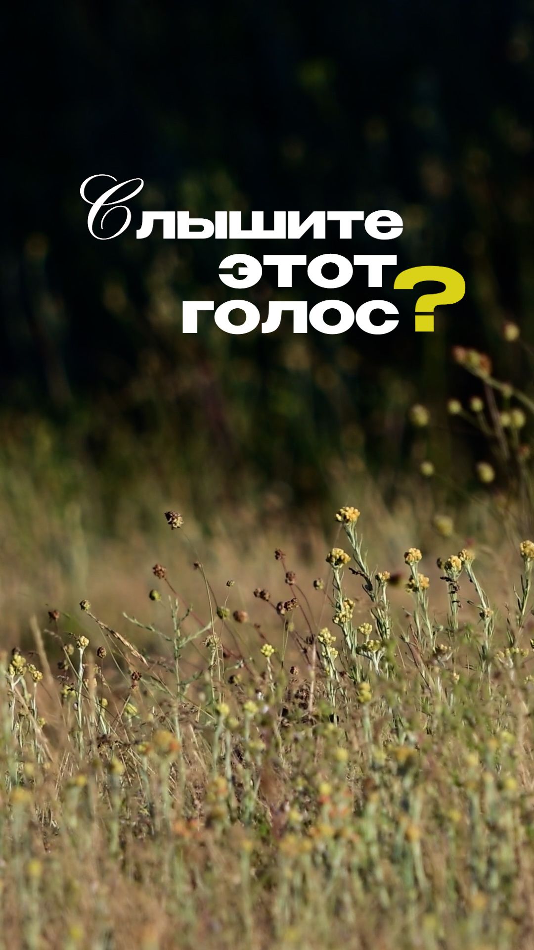 Кто издаёт эти звуки? #3