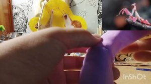Лепка орхидейнего богомола из воздушного пластелина.
