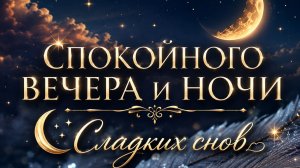 Спокойного вечера и ночи 🌙 Красивые пожелания доброй ночи и сладких снов
