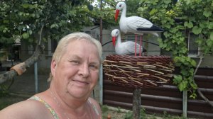 508. Привет из Крыма. Аисты угнездились. Напекла пирожков. 17.06.26.
