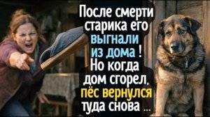 После смерти старика собаку выгнали из дома… А когда дом сгорел, тот вернулся туда снова и не ...