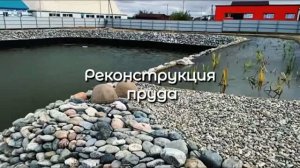 Реконструкция пруда | EcoPond