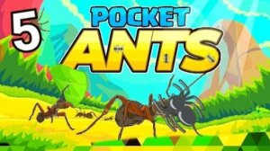 играем в pocket ants пятая часть