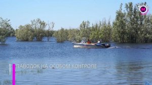 Уровень воды в реках Югры растёт ежедневно в среднем на 5 сантиметров