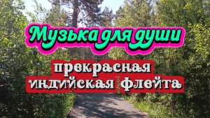МУЗЫКА ДЛЯ ДУШИ. ФЛЕЙТА.