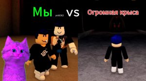 Кто победит? Я с Драко или огромная крыса?