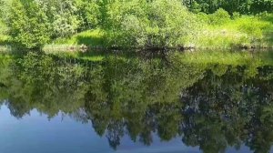 Природа. Релакс. Музыка от ИИ.