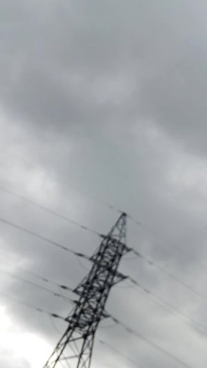покупаю опарыша для филера