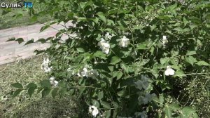Лето без моря? Почему красносулинцы остаются дома