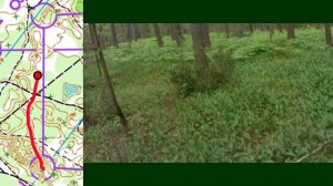 31.05.2026 ЧиП г.Рязань, д. Давыдово. кросс-классика