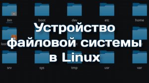 Структура файлов и каталогов в Linux