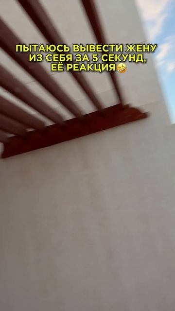 Какая красотища🤣   Макс и Ксю Миляевы