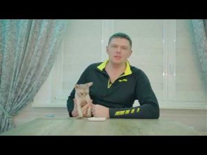Отзыв о компании SWG. Частный заказчик - Борис