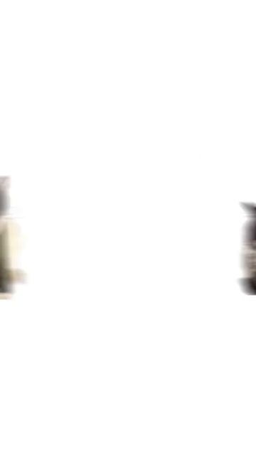 17-06-2026