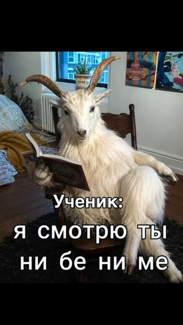 Если тебе хочется учить английский быстро и качественно - пиши в Директ @englishspeaksveta