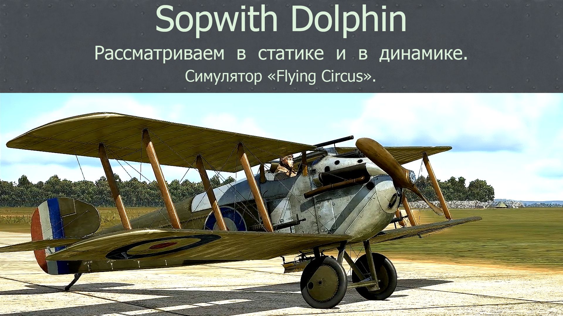 Обзор самолётов WW l. Симулятор  «Flying Circus″.