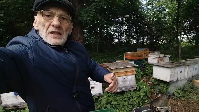 МАЙСКИЙ МЁД на РАСПЛОД смотреть онлайн