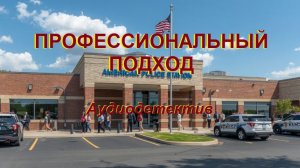 Аудиокнига «Профессиональный подход»