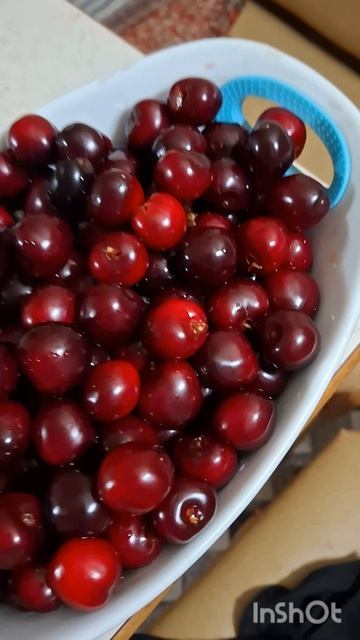 Черешнево‑клубничное лето: вкус солнечного сада🍓Капли лета: сочная черешня и душистая клубника