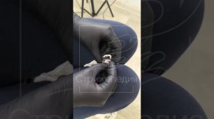 Как накормить стрижа выжимками