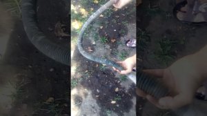 Как прочистить  гофрированные трубки от бассейна!