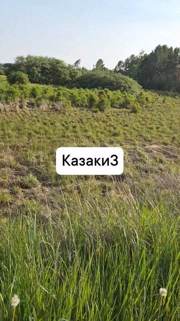 казаки3