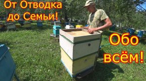 От ОТВОДКА до СЕМЬИ! Расширение. ОБО ВСЁМ по немногу!