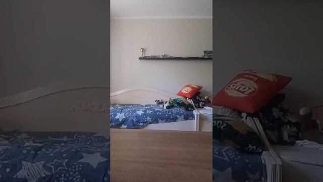 извините я болела смотреть онлайн