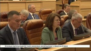 Закон, который разрешает эвтаназию бездомных собак в Прибайкалье, сегодня приняли во втором чтении р