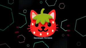 Эволюция Котиков
